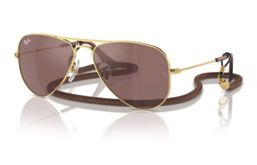 Ray-Ban 9506S SOLE 223/6G 52