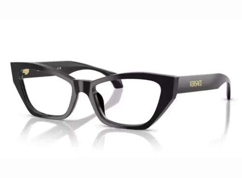 Estheroptica Akiniai Versace akiniai 3373U VISTA GB1