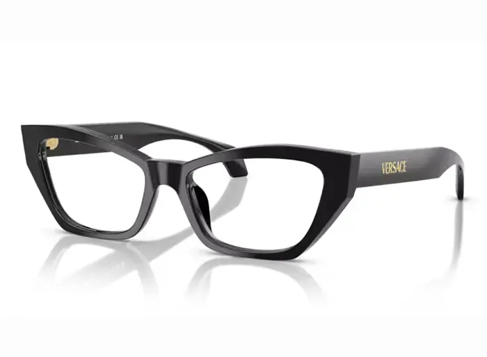 Versace akiniai 3373U VISTA GB1 54