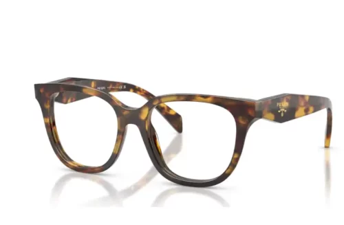 Estheroptica Akiniai Prada akiniai C11V 14L1O1