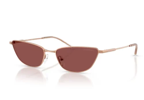 Akiniai nuo saulės Moterims Emporio Armani 2174B 301175 originalūs